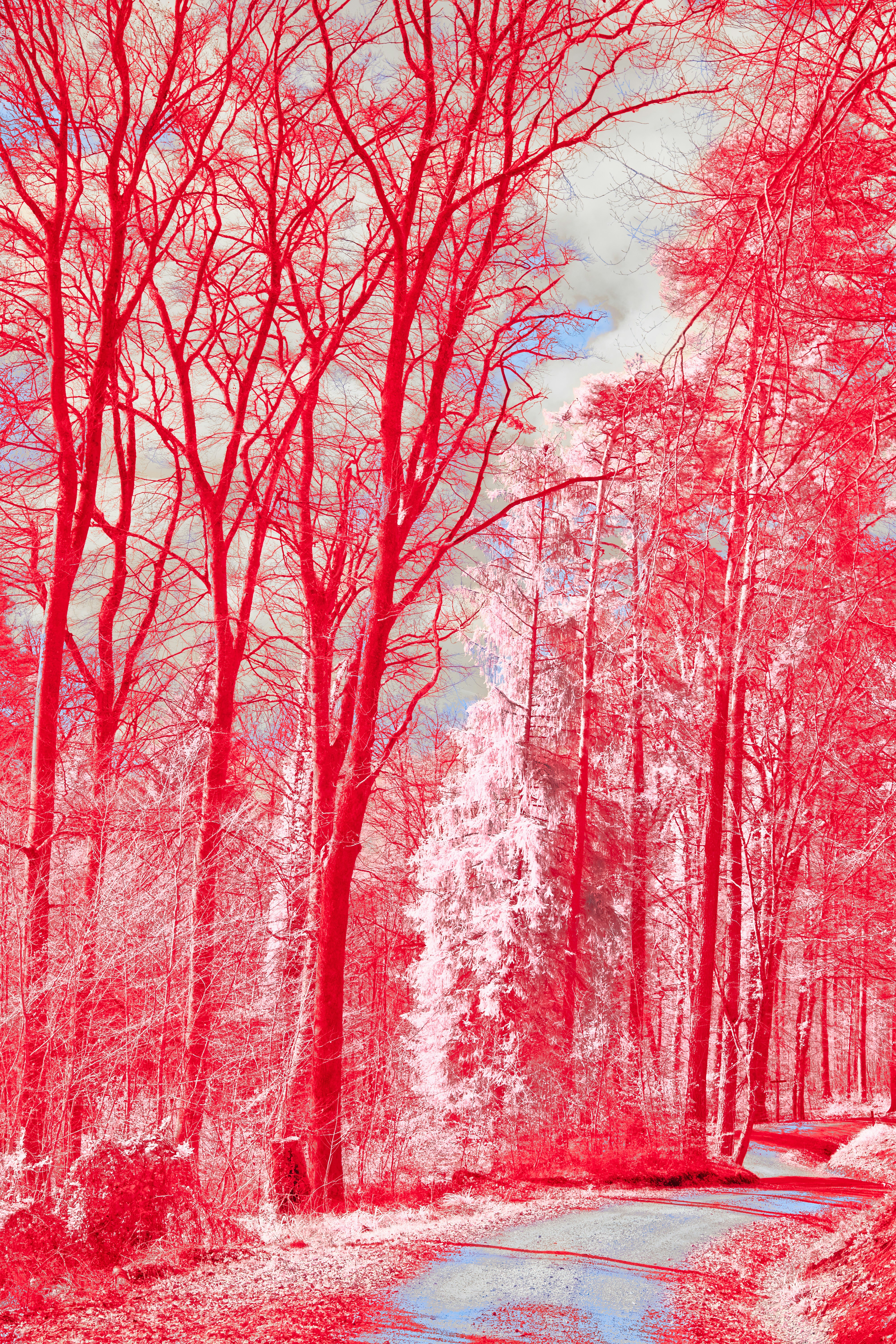 Photo by wolfgang_hasselmann