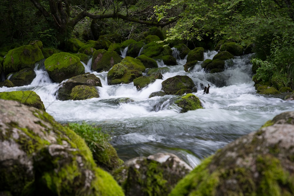 a stream of water surrounded by mossy rocks