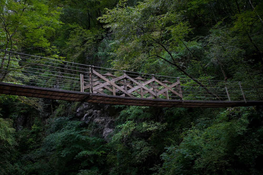 Eine Holzbrücke mitten im Wald