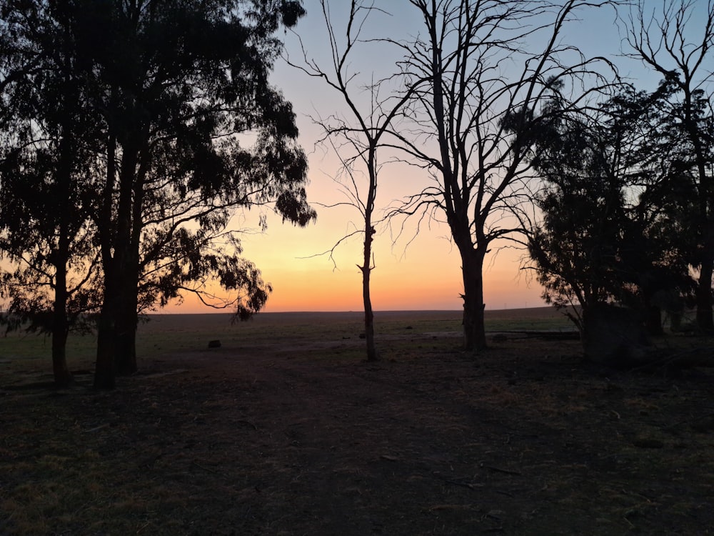 the sun is setting behind some trees in a field