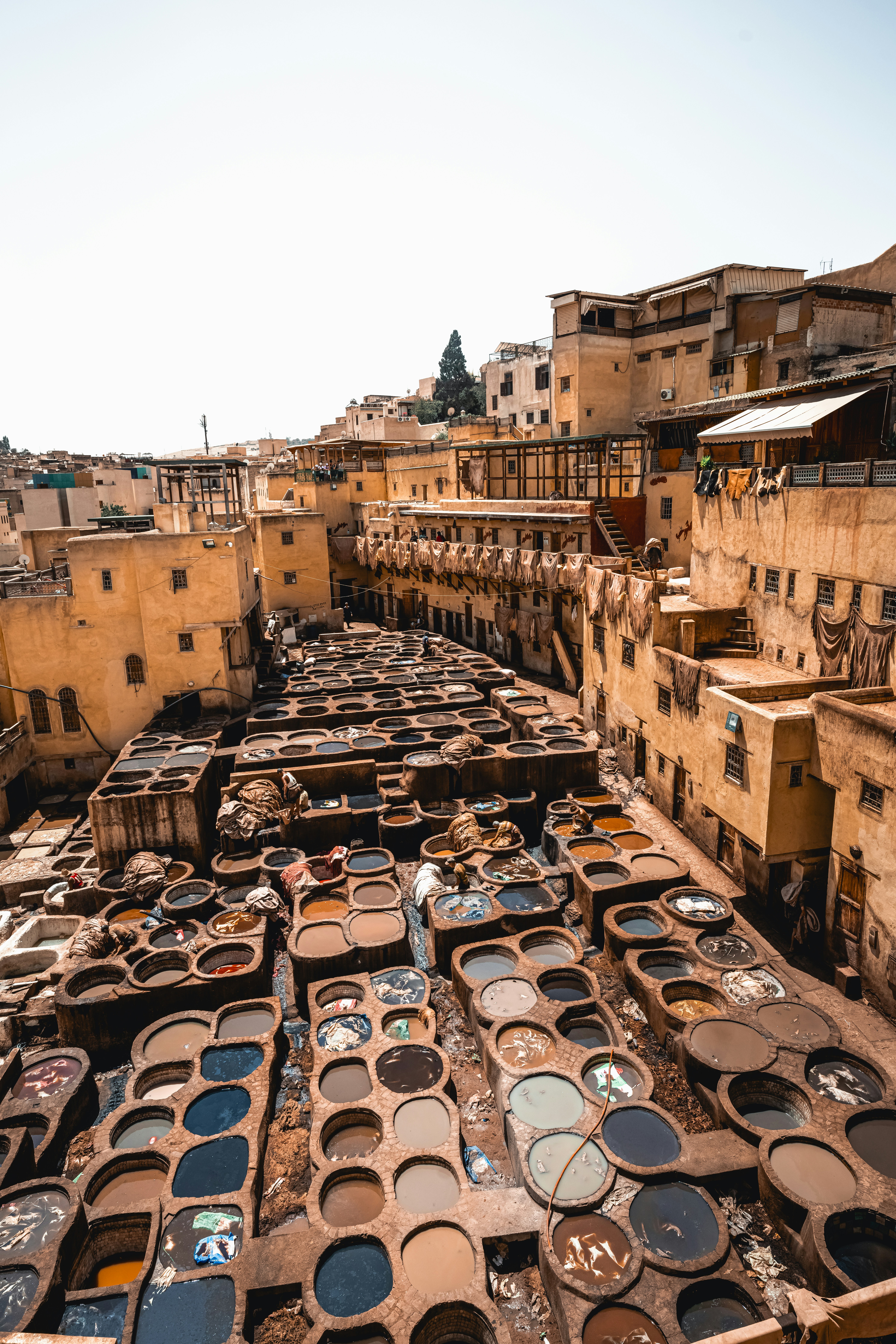 Tanneries photo 2