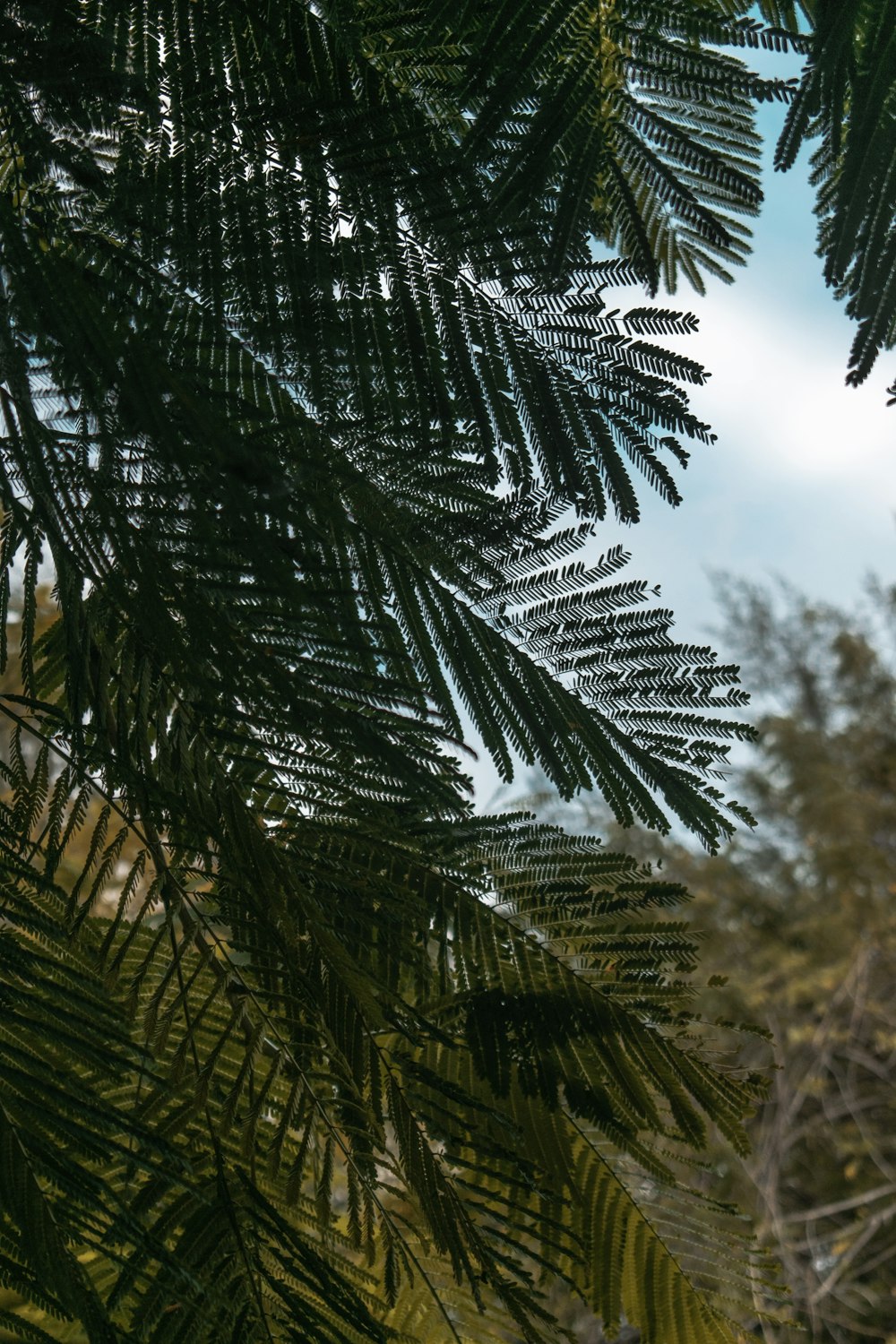 a bird is perched on a tree branch