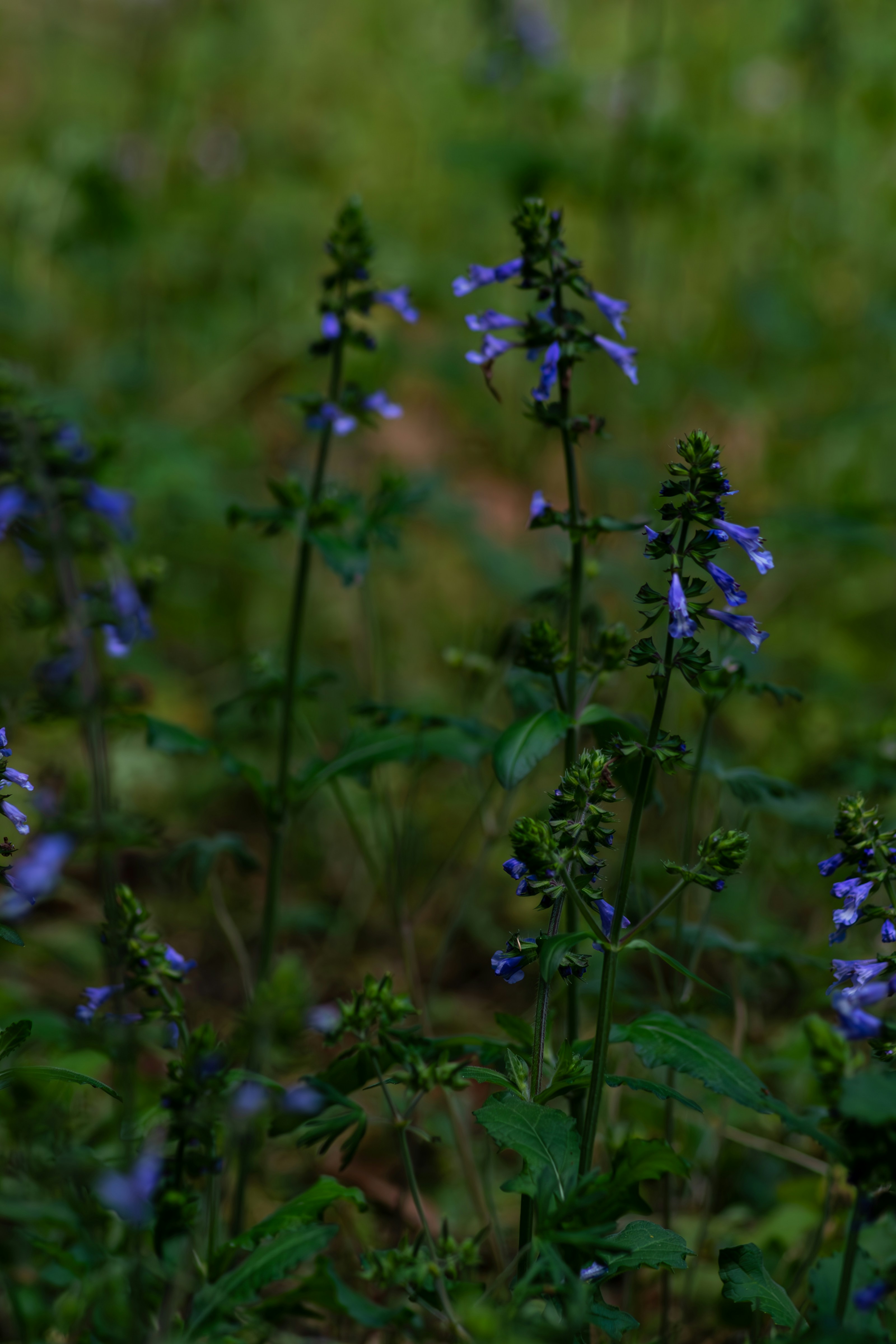 Photo by astro_civil