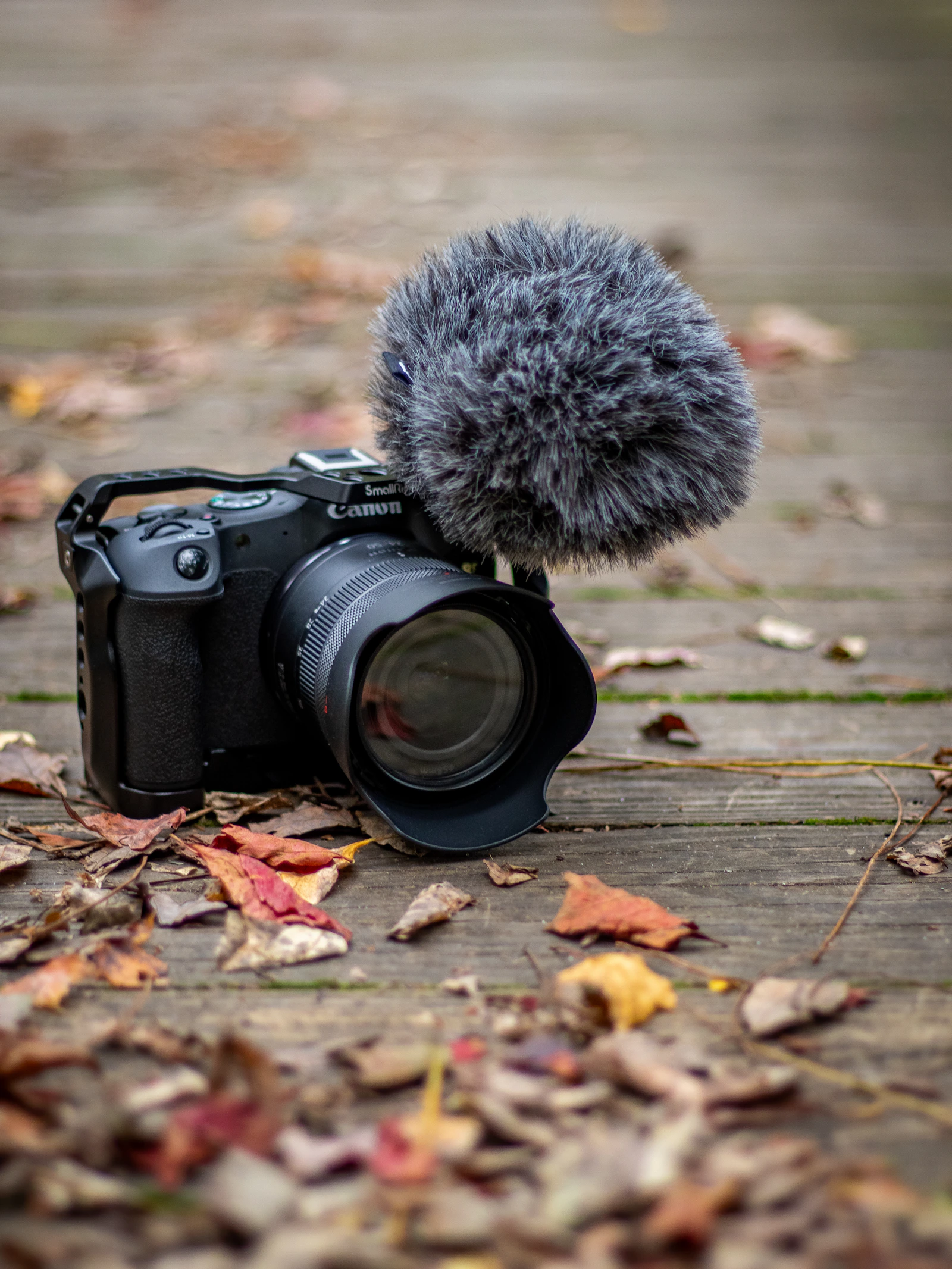 Canon camera with microphone on autumn ground