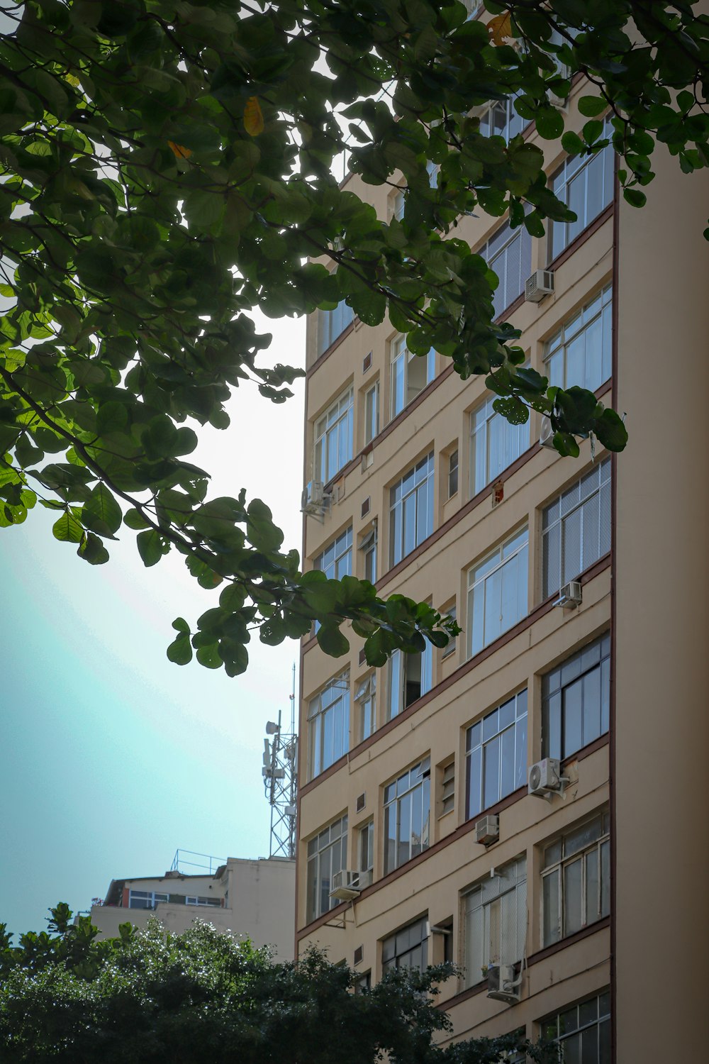 a tall building with lots of windows next to trees