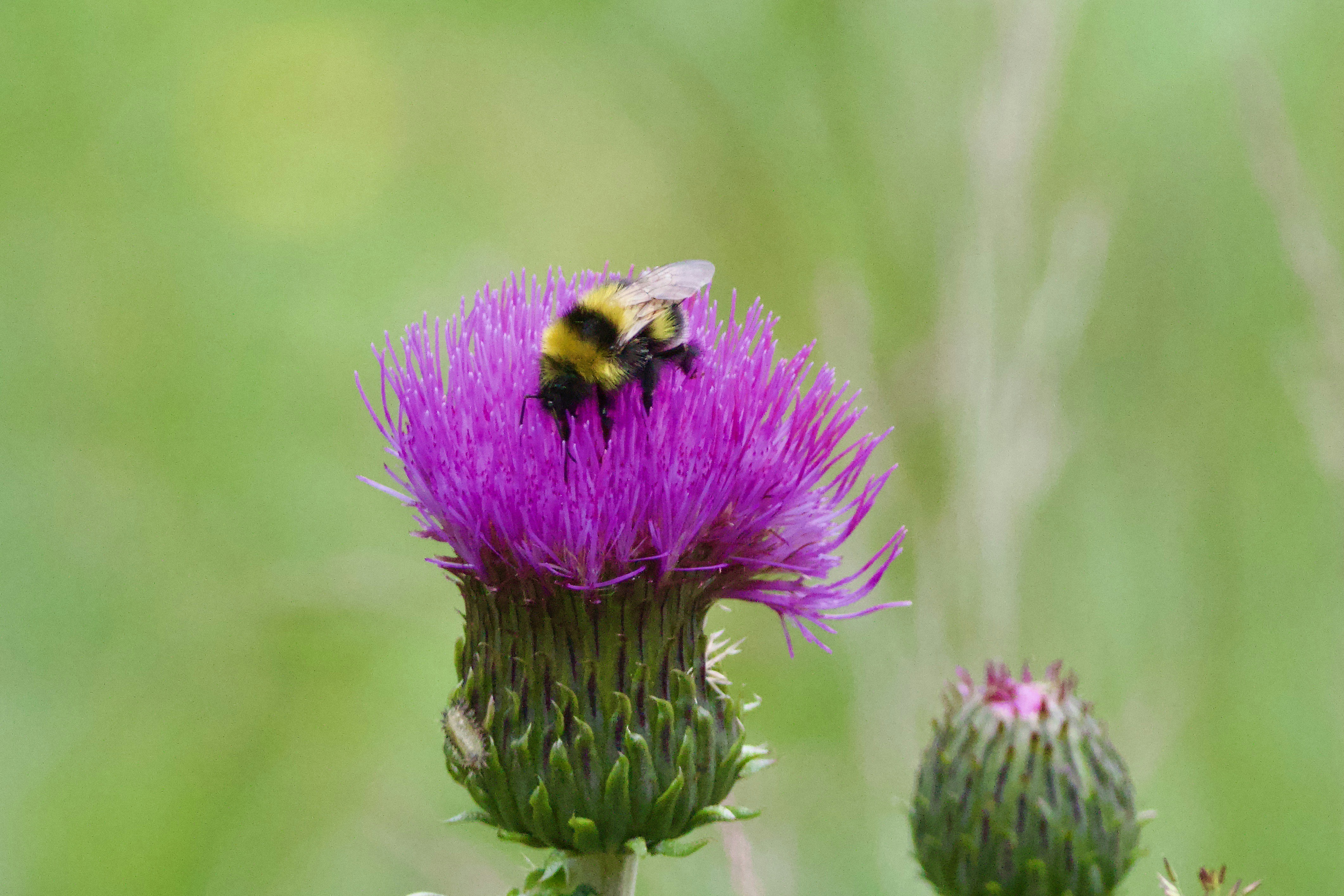 Photo by stockbirken