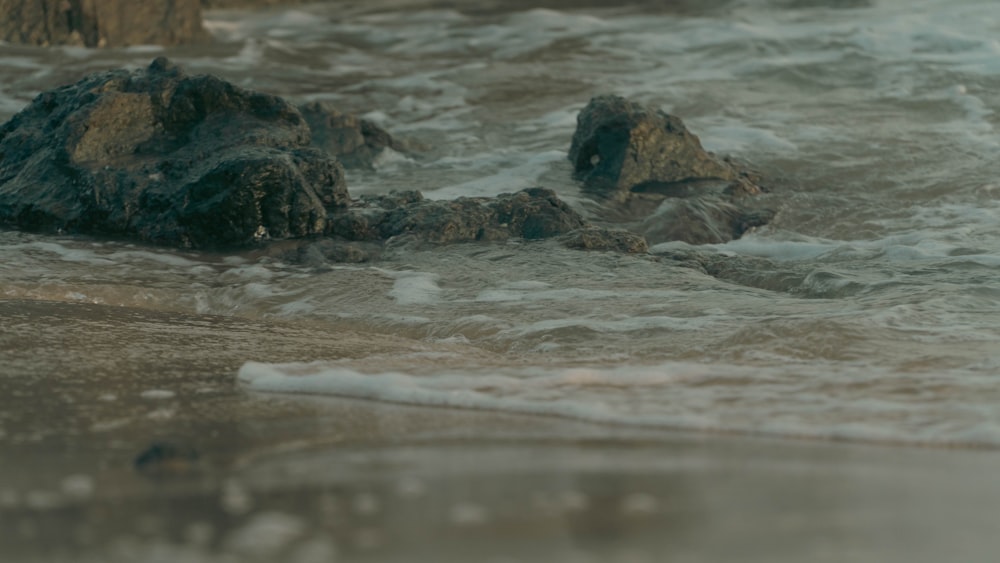 a close up of a rock in the water