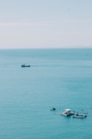 A scenic view of the ocean where the shrimp are harvested.