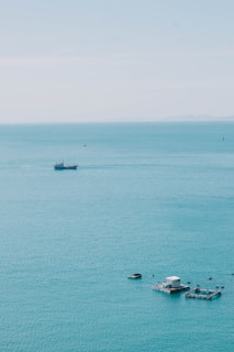 A scenic view of the ocean where the shrimp are harvested.