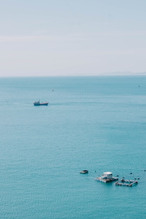Exploring Sustainable Ocean Solutions with Cariaco Ltd