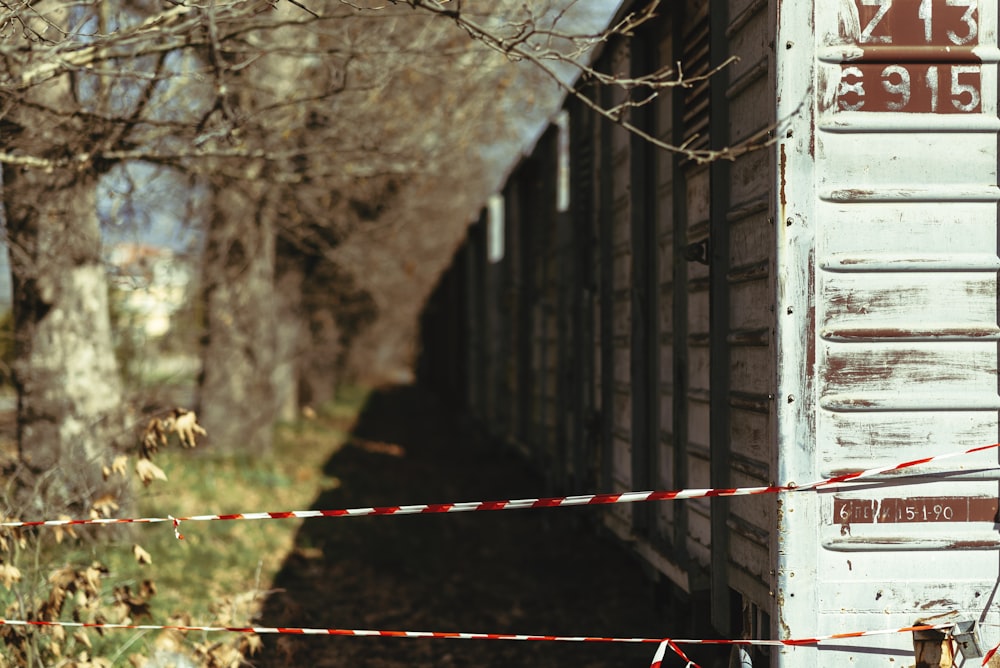 a train car sitting next to a forest filled with trees