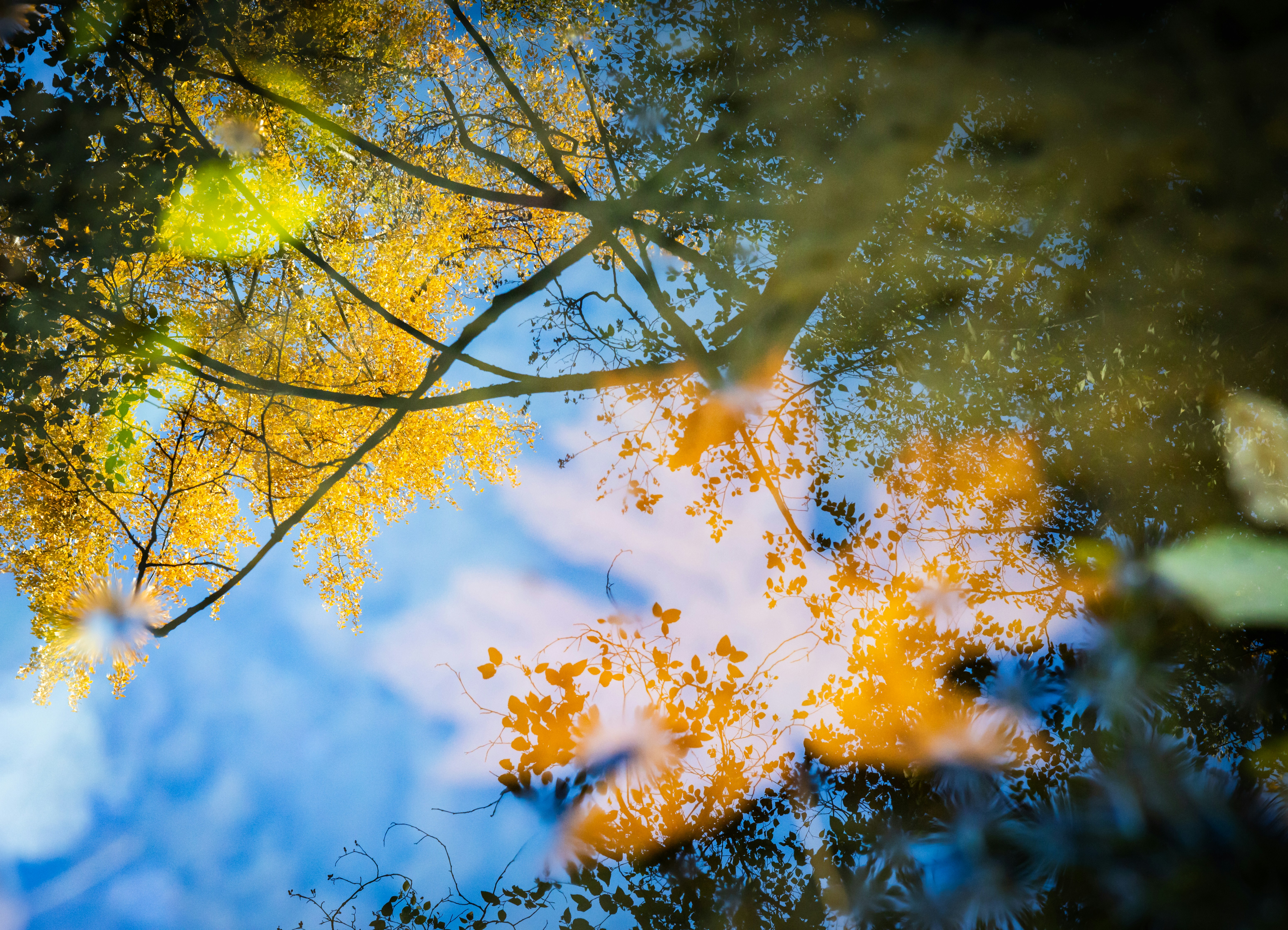 Photo by greg_rosenke