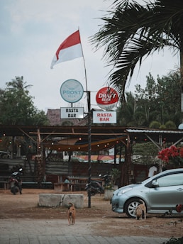 A small outdoor bar with a rustic and relaxed atmosphere, featuring a red and white flag on a pole. There are signs for Prost Beer and Draft Beer above the entrance, and two dogs are visible on the ground nearby. A silver car is parked to the right, with tropical plants and trees in the background. The area is decorated with string lights, adding a casual and inviting feel.