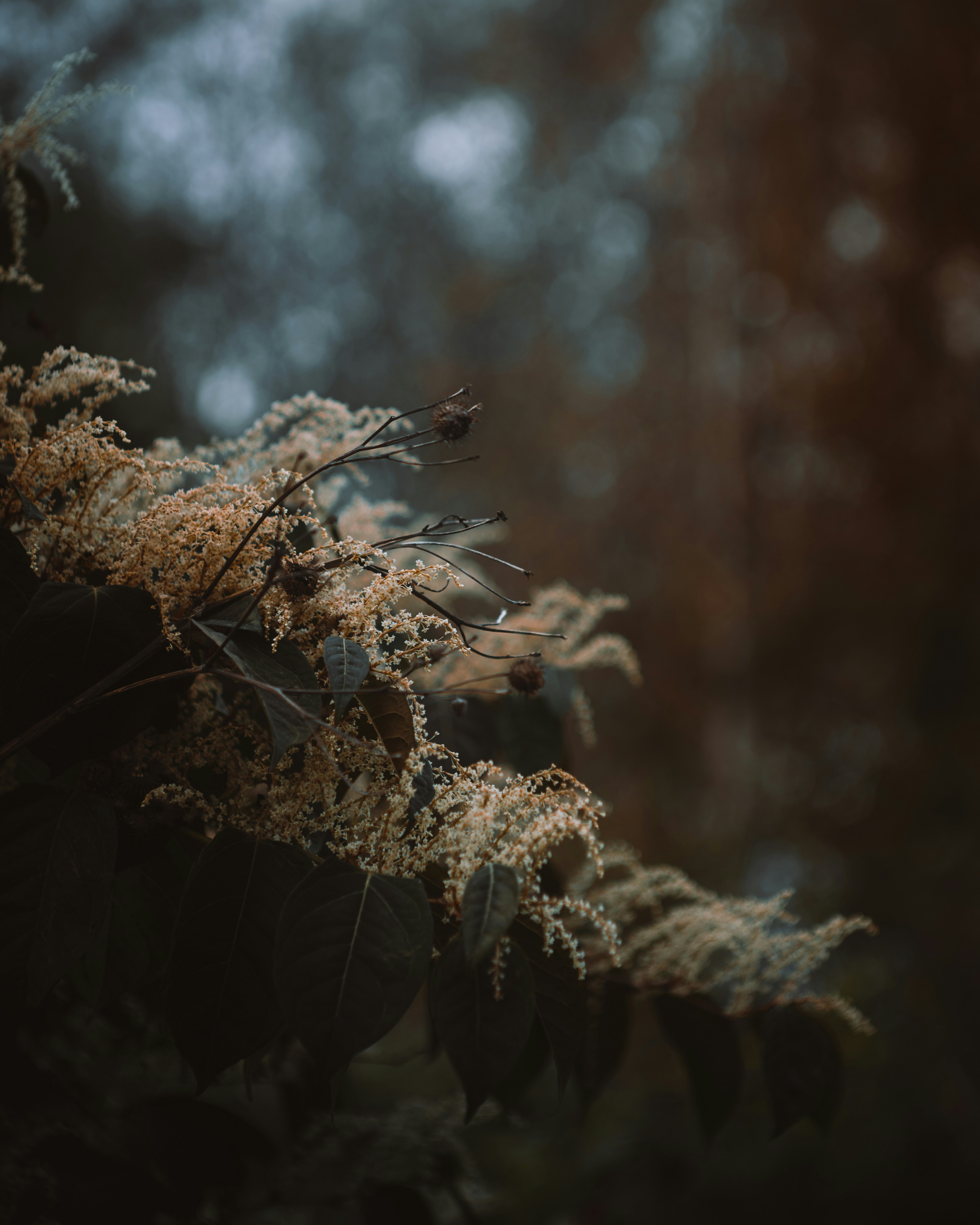 Photo by parasfrendi