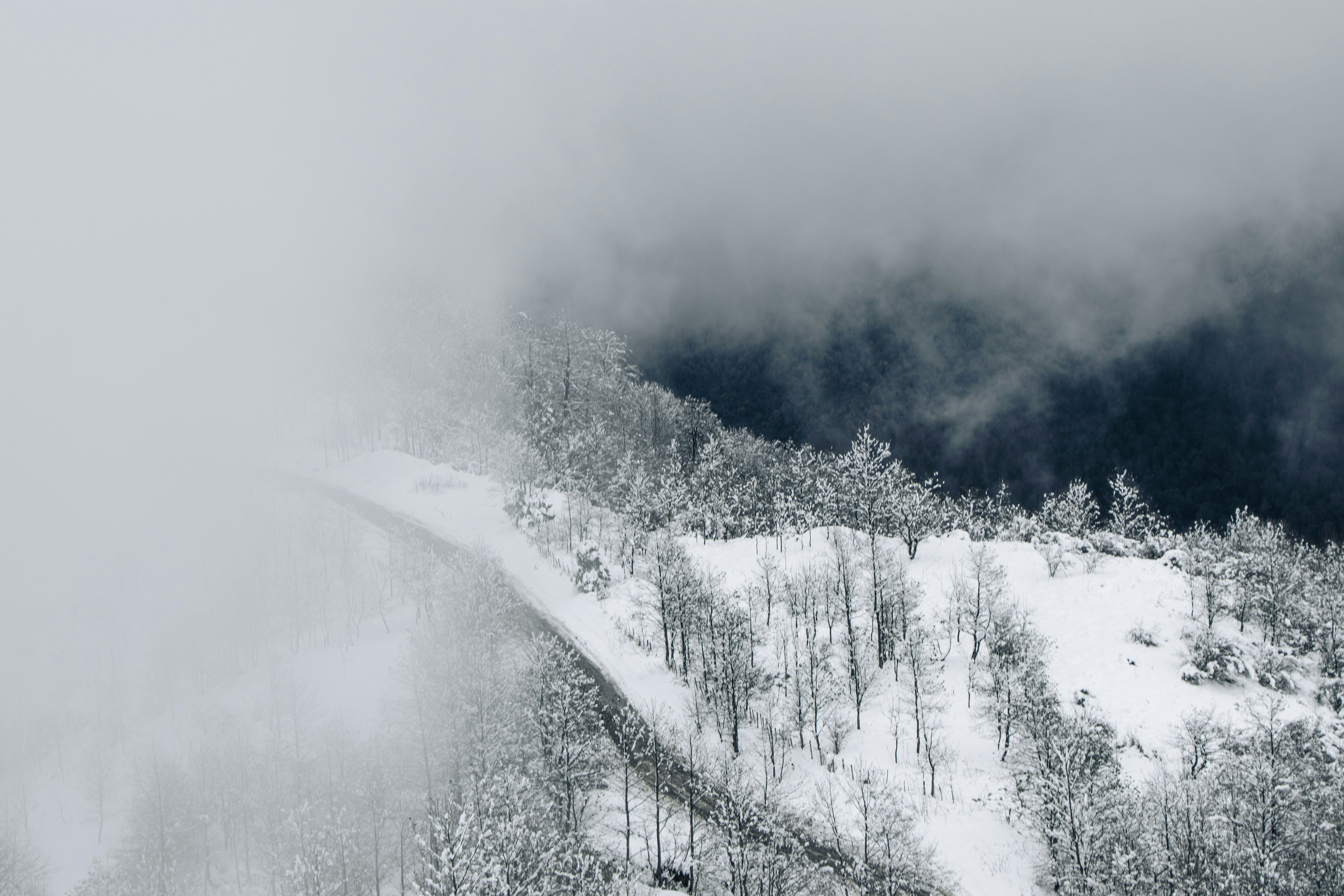 Photo by mahdibafande