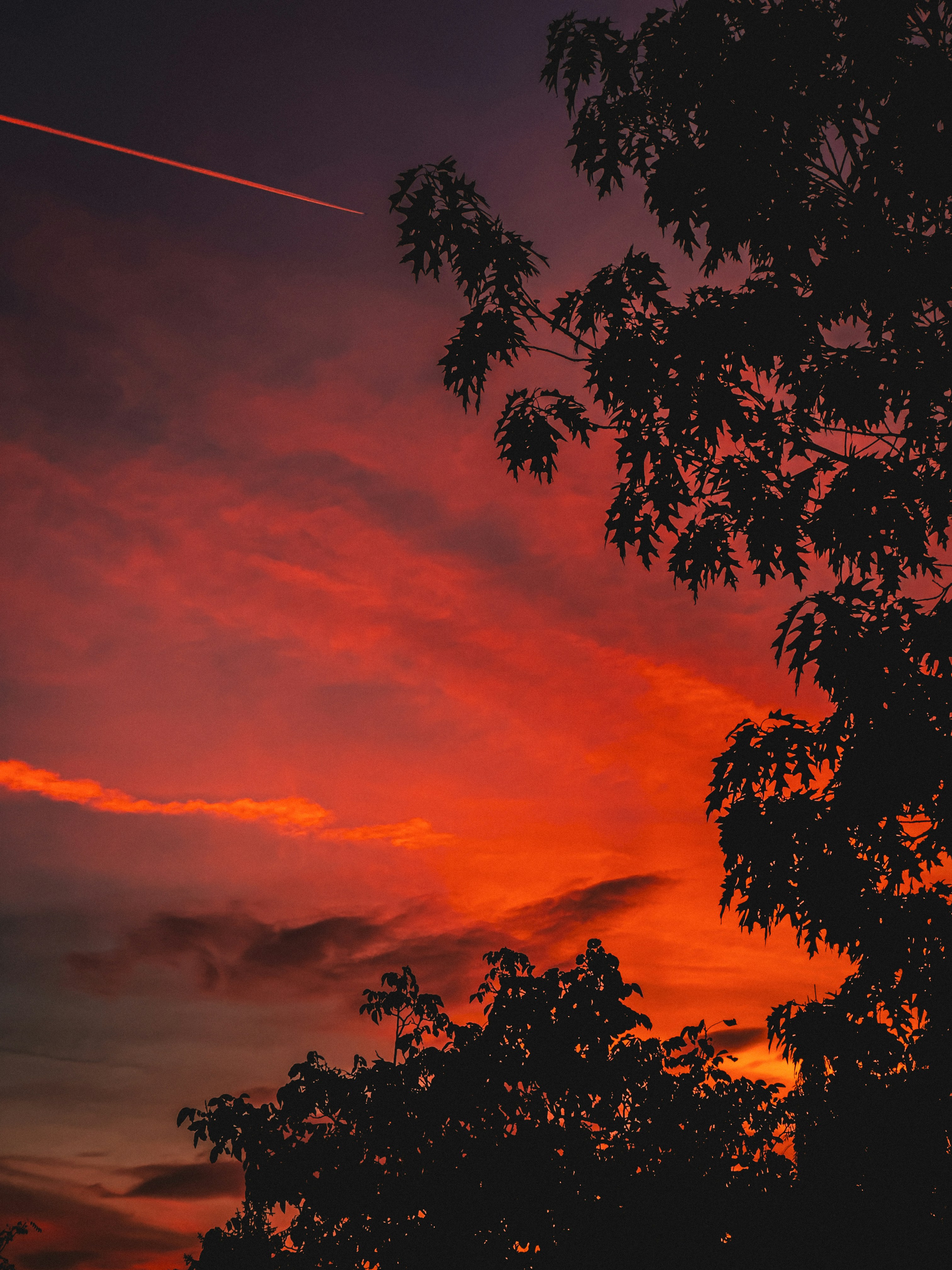 Photo by thatsmihai