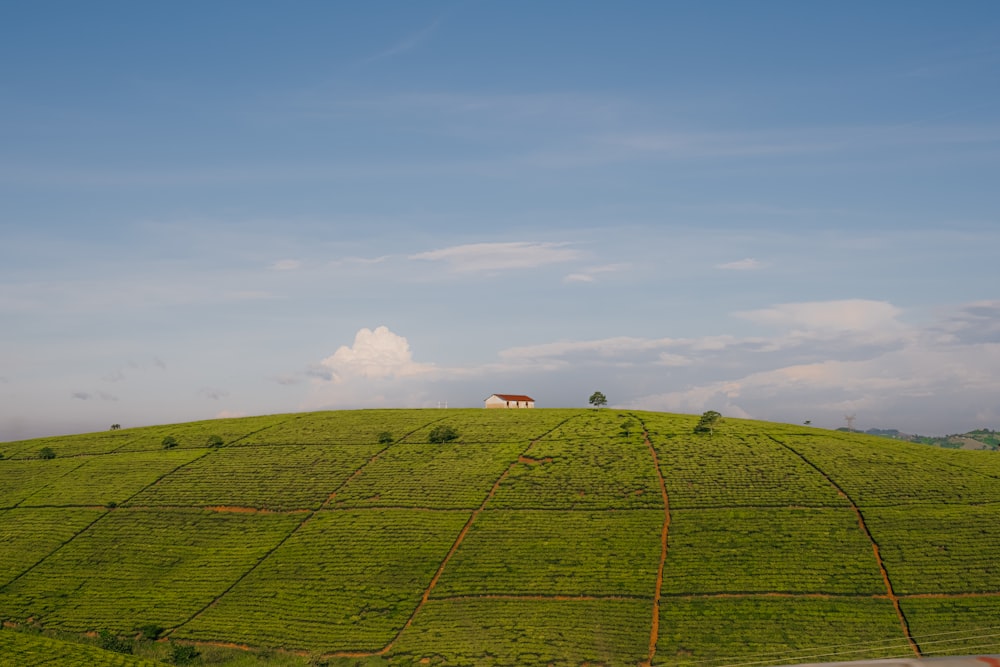 a green hill with a house on top of it