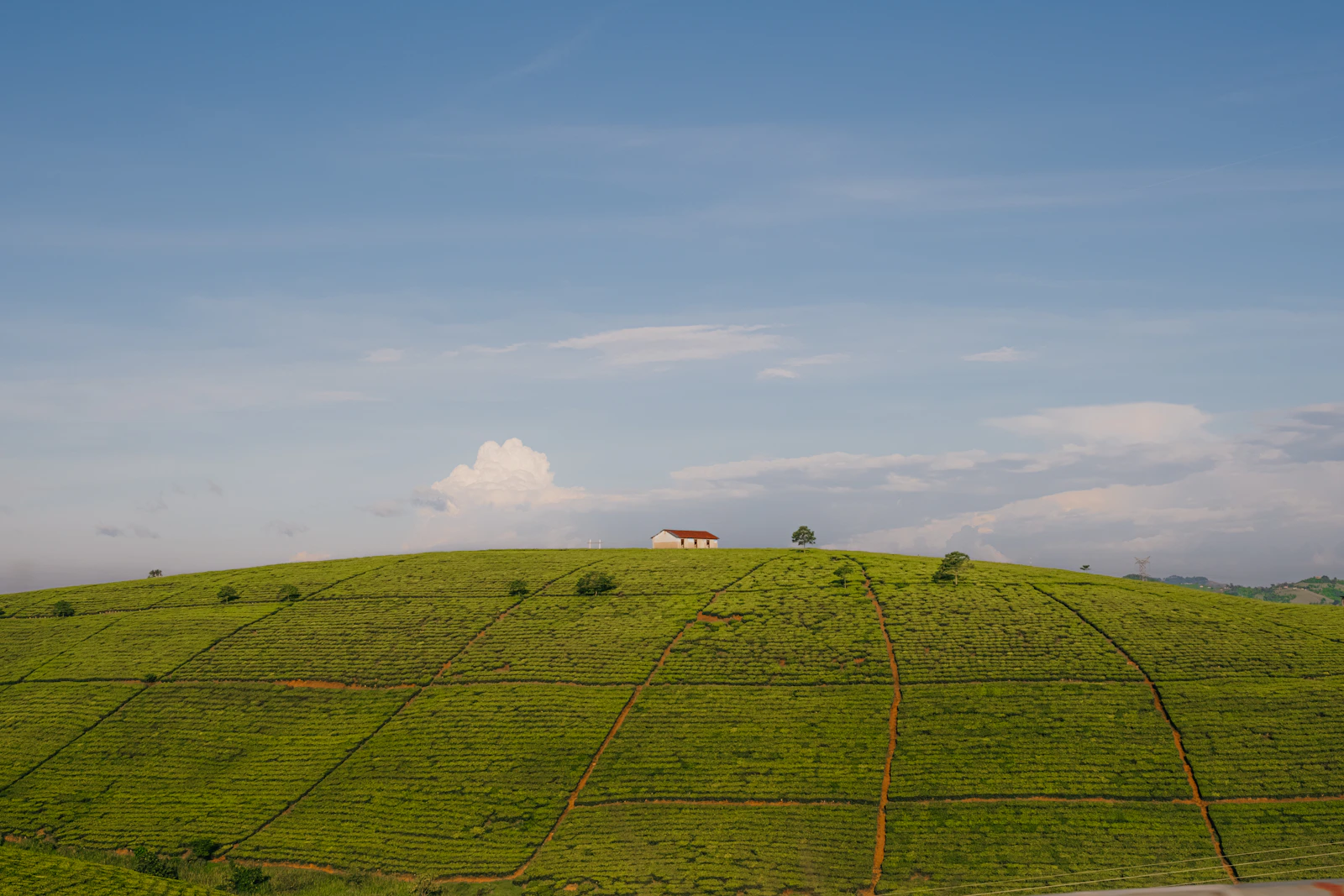 Modern hillside home built into a green hill showing a stepped foundation approach