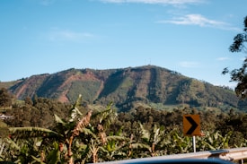 A lush, green mountain landscape with dense vegetation blanketing the hillsides. Banana plants and other trees are visible in the foreground, accompanied by a road sign featuring a right-turn arrow. The sky is clear with a few wispy clouds.