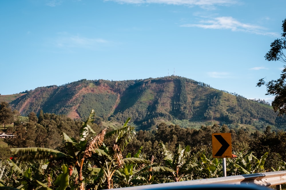 a road sign in front of a mountain range