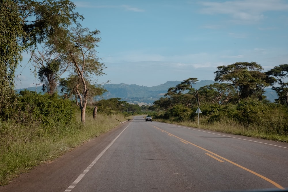 a car driving down a road next to a lush green forest