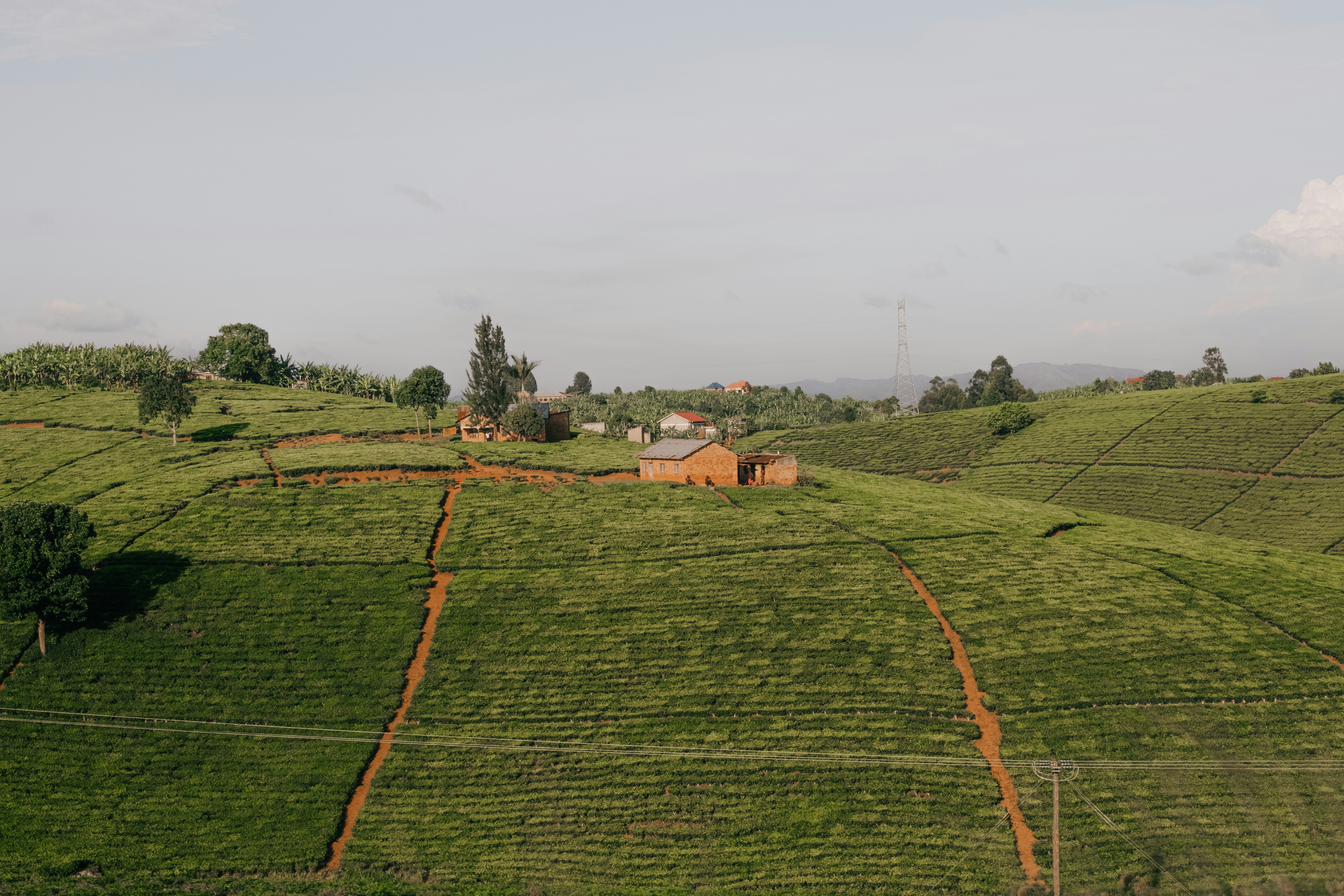 Photo by Micah Camper