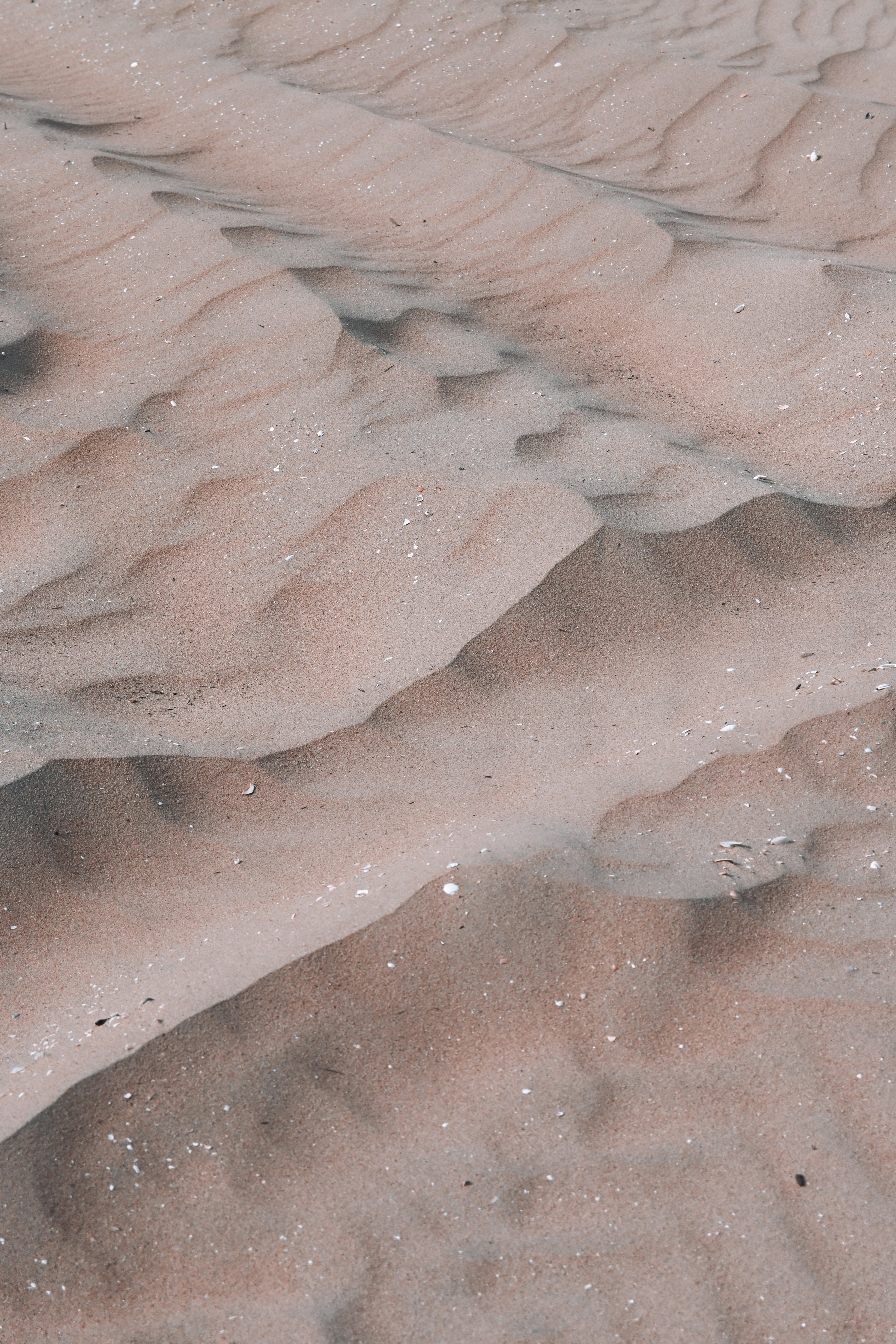 Photo by ludovicapalio