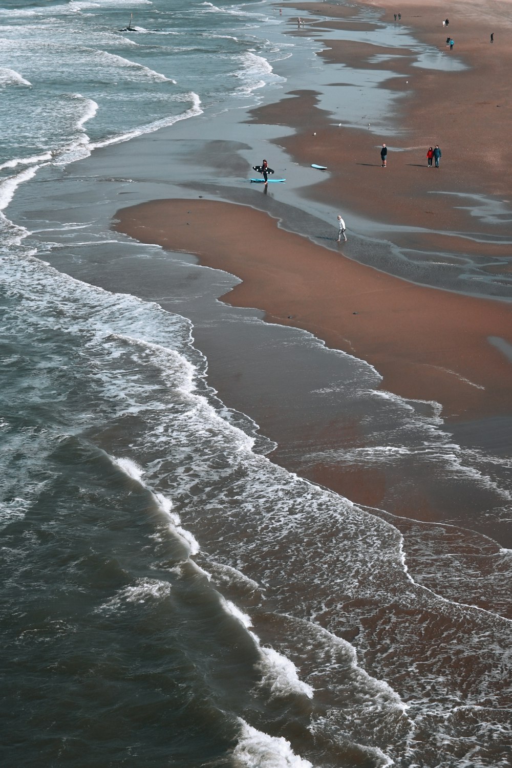 Un gruppo di persone che camminano lungo una spiaggia vicino all'oceano