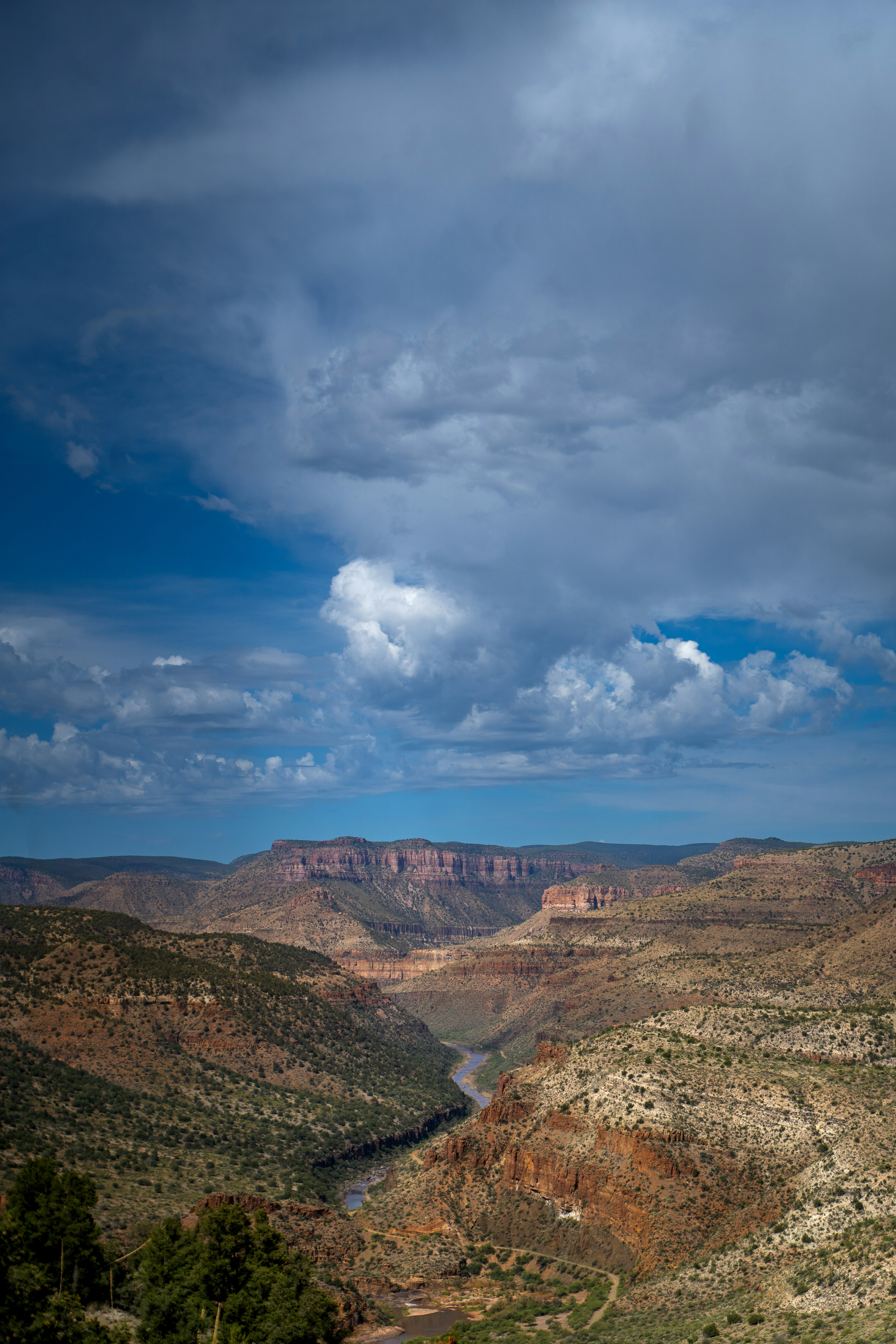 une vue panoramique d’une rivière et de montagnes sous un ciel nuageux