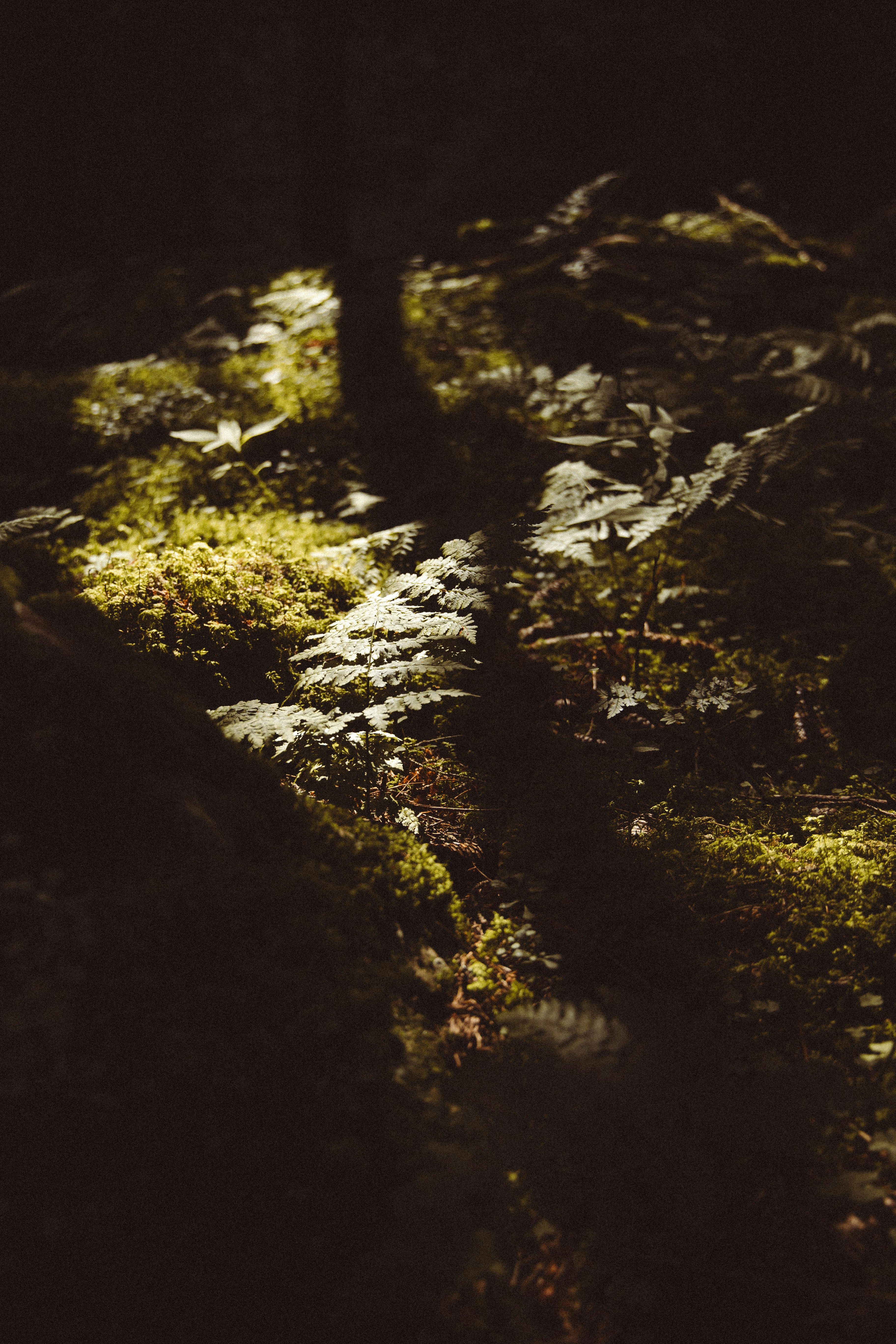 Photo by fossette_audrey