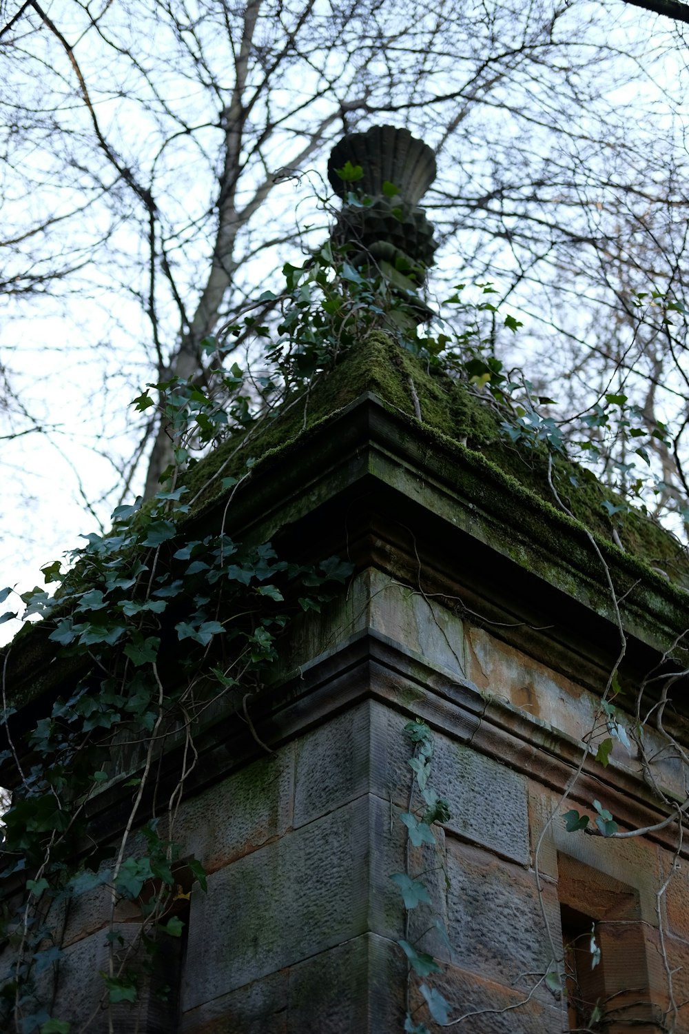 an old building with ivy growing on it's roof