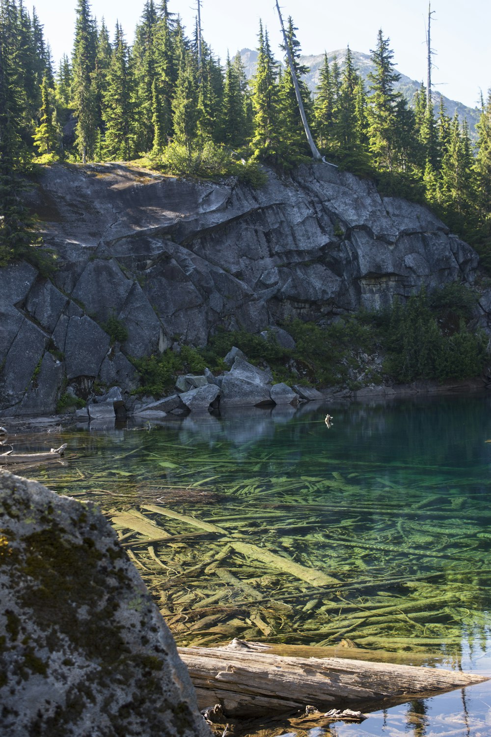 uno specchio d'acqua circondato da alberi e rocce