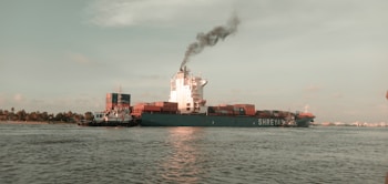 A large container ship is traveling through a waterway, with stacks of red cargo containers on its deck. A smaller tugboat is assisting the larger vessel, pushing at its side. Smoke is emitting from the ship's funnel against a backdrop of a cloudy sky. In the distance, there are signs of a city skyline and palm trees along the shore.