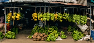 A market stall filled with a variety of bananas hanging from the roof and stacked on the ground. The stall is shaded and dark inside, with bunches of green and yellow bananas prominently displayed. In front of the stall, there are also heaps of root vegetables, likely yams or potatoes, adding to the diversity of produce.