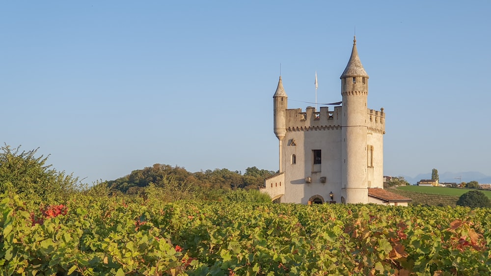 a castle in the middle of a vineyard