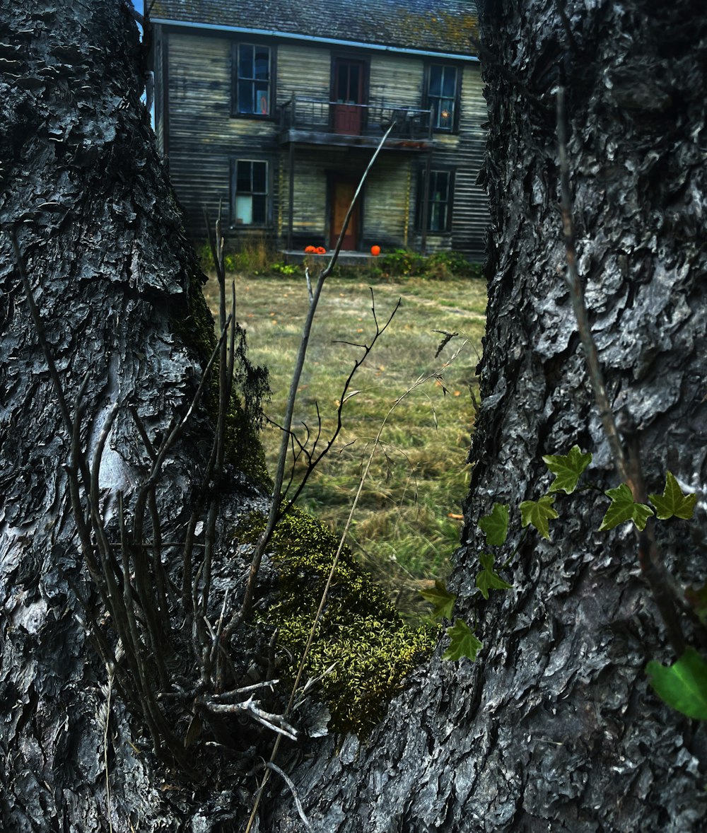 a house is seen through the trees in front of it