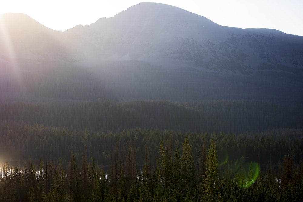 the sun is shining on the mountains and trees