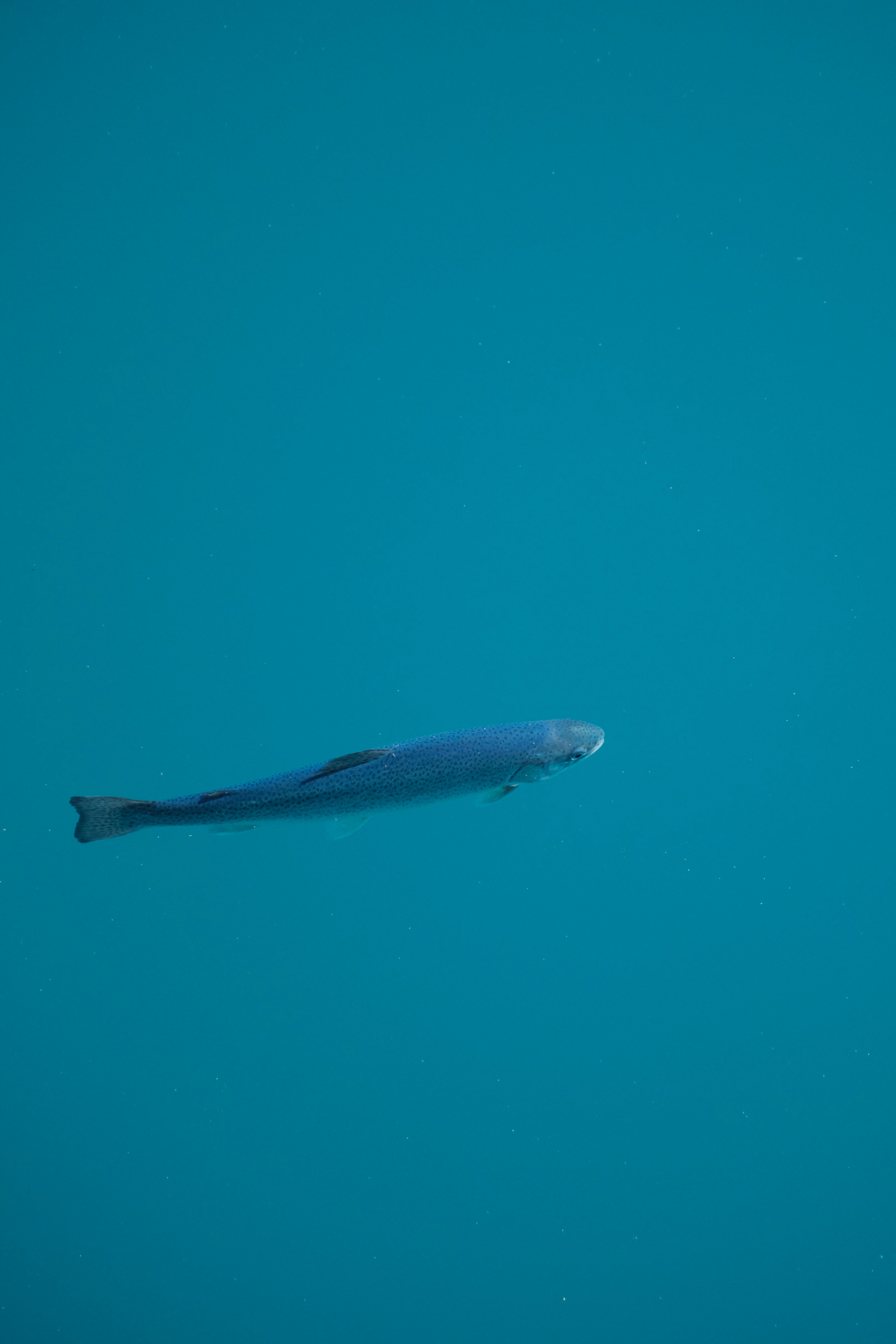 Photo by marcus_ganahl