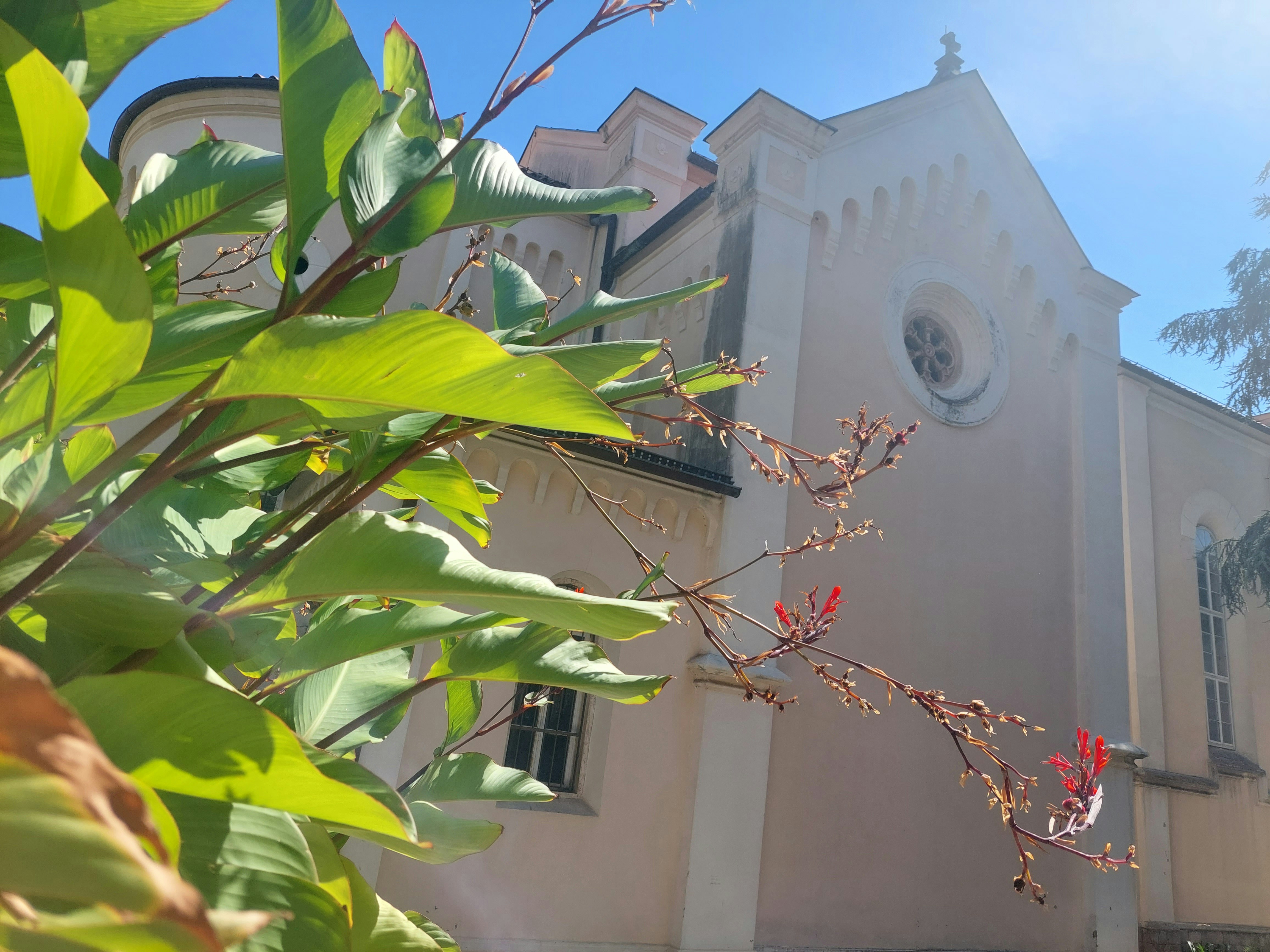 Herceg Novi – Final Summary