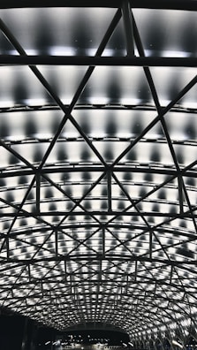 A geometric ceiling structure featuring a network of crisscrossing beams with illuminated panels. The design creates a modern and sophisticated look, emphasizing symmetry and architectural innovation.