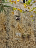 A historic stone wall features intricate carvings and an embedded crest. A cannon protrudes from the wall, surrounded by greenery and autumn leaves. Small plants grow between the weathered stones.