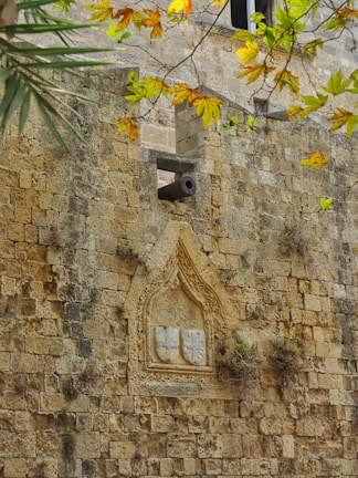A historic stone wall features intricate carvings and an embedded crest. A cannon protrudes from the wall, surrounded by greenery and autumn leaves. Small plants grow between the weathered stones.