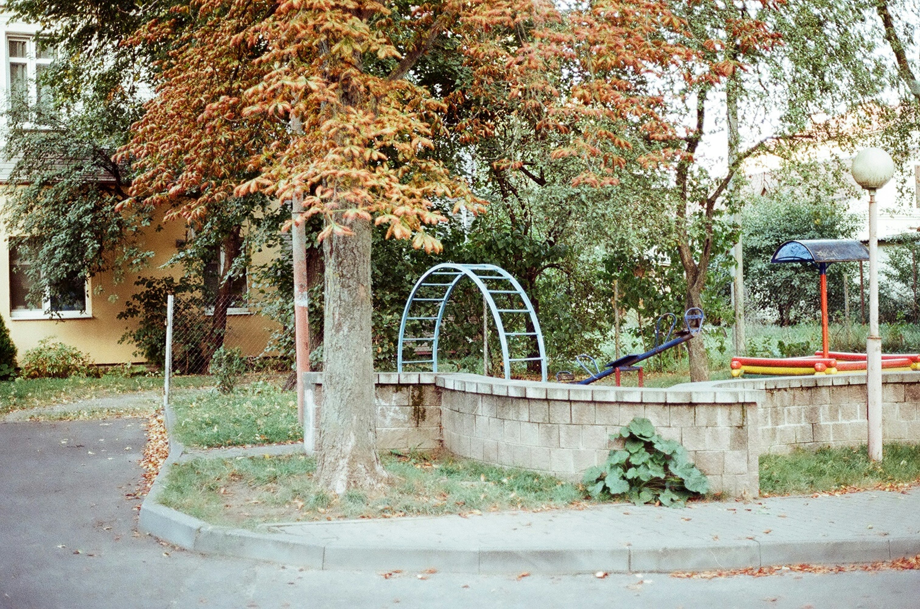 a park with a playground and a playground slide
