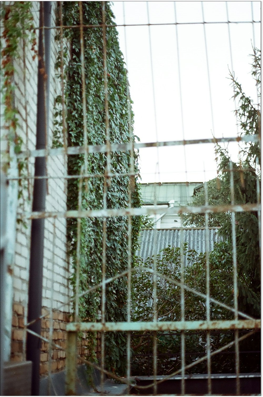 a view of a building through a fence
