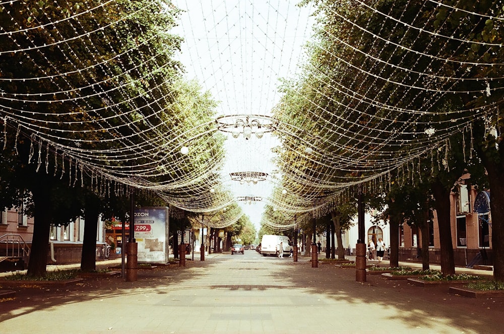 a street lined with lots of trees covered in lights