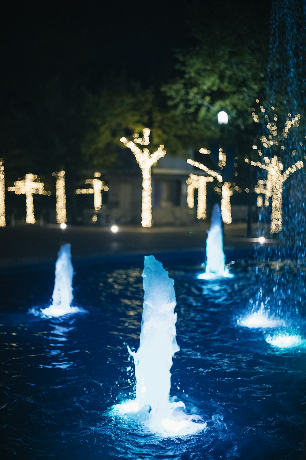 um grupo de fontes de água em um parque à noite