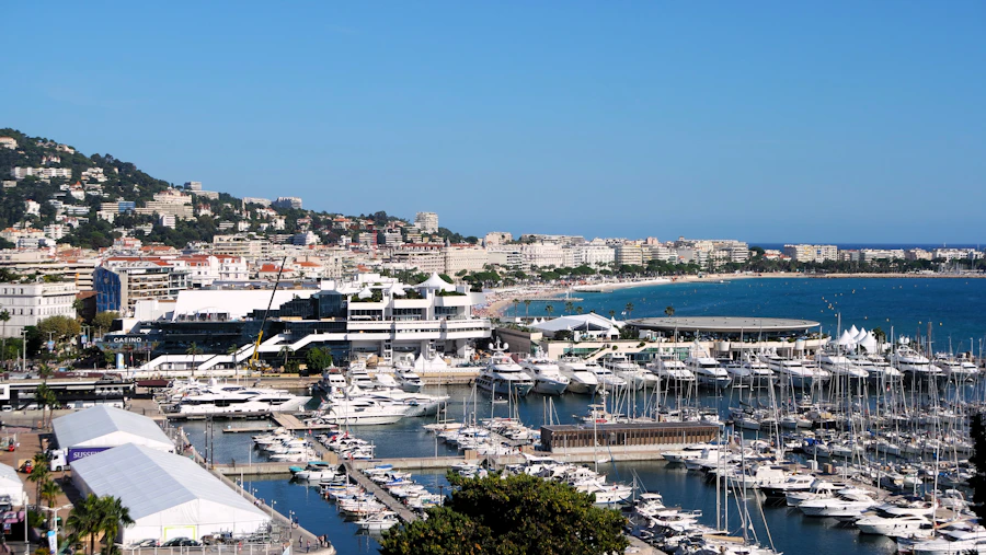 Cannes Yachting Festival - port rempli de yachts de prestige