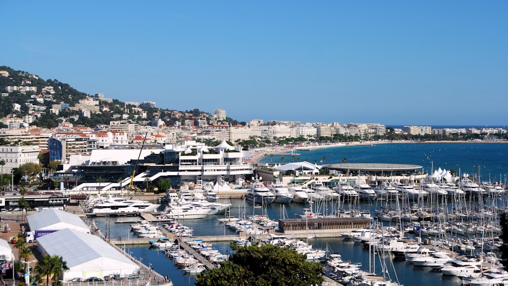 a harbor filled with lots of boats next to a city