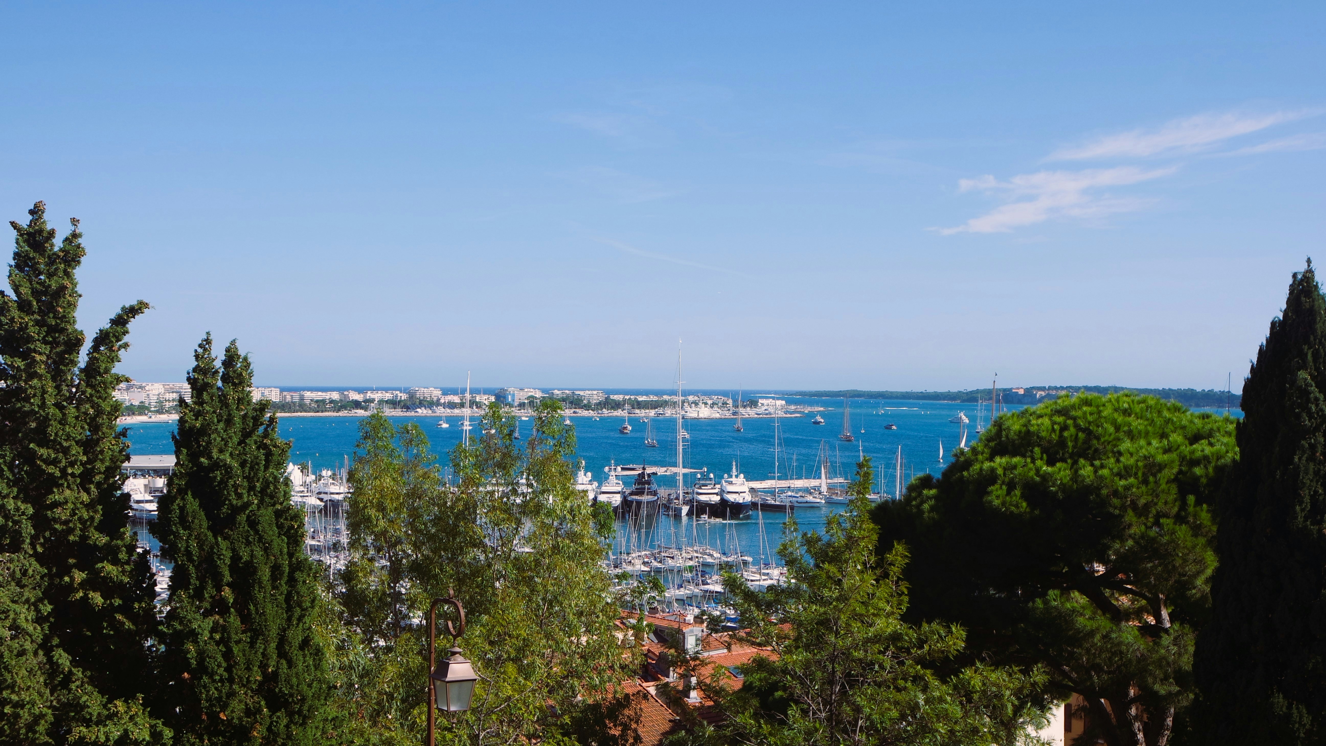 a view of a marina with boats in the water, 