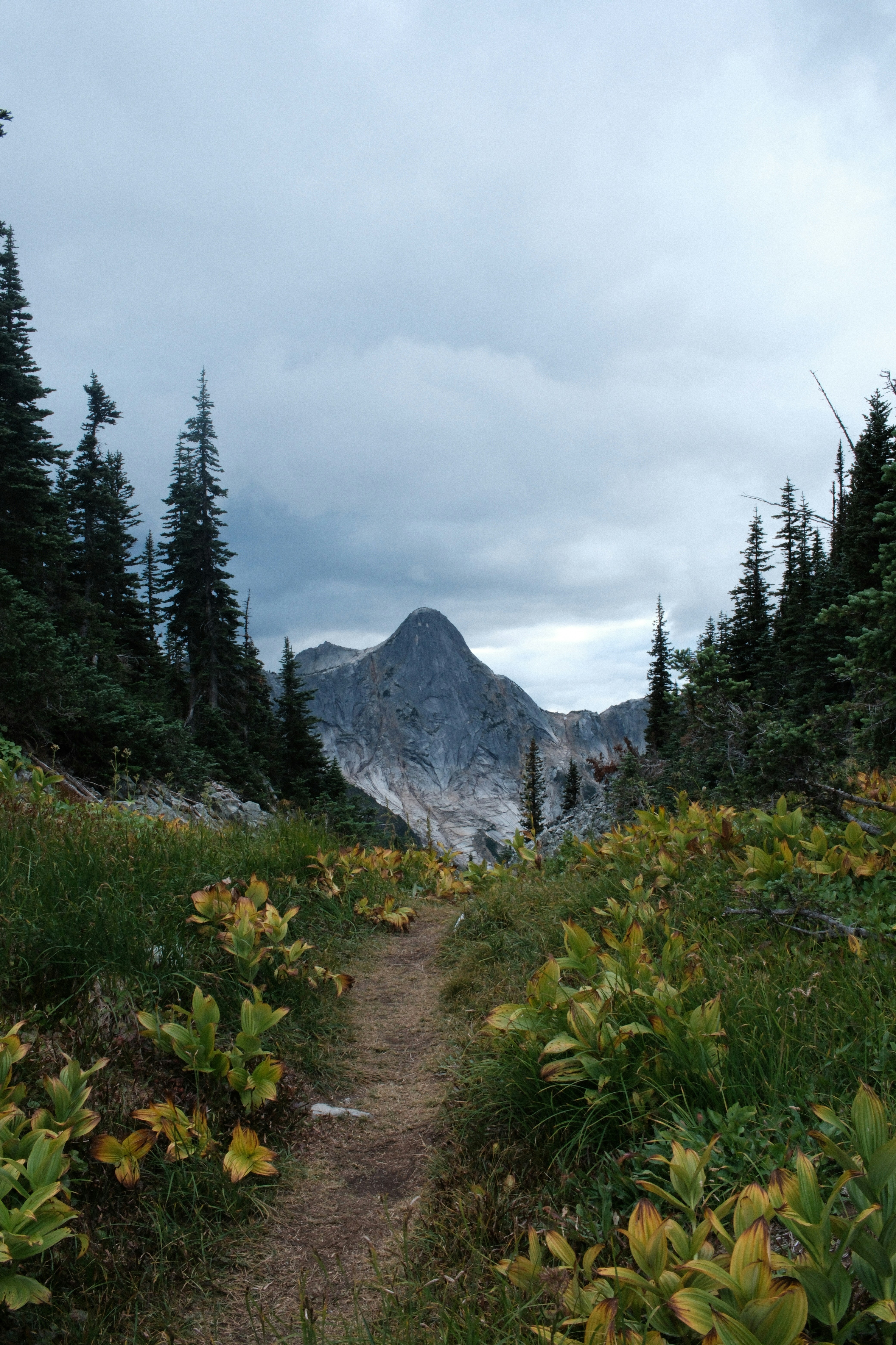 Photo by antoinerault